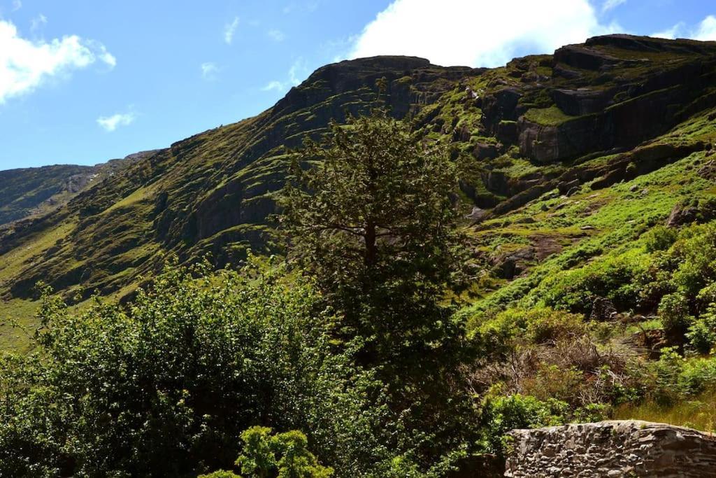 Secluded Cottage Nestled In The Beara Peninsula Killarney Exterior photo